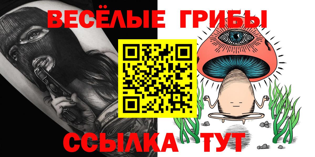 Димитровград  цена наркотик  Вход с VPN  Псилоцибиновые грибы Psilocybe 