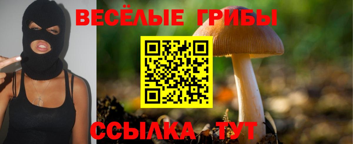 Псилоцибиновые грибы Cubensis Димитровград